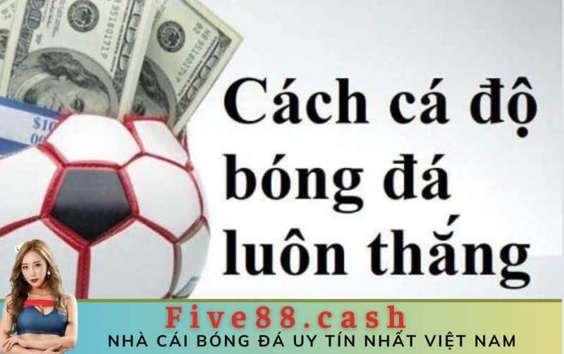 Cách cá độ bóng đá luôn thắng